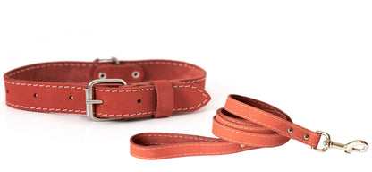 Pro Line Hunting Leather Collar and Leash Set in matching colors with full-grain American leather and European steel details