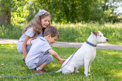 Pro Line Hunting Leather Collar and Matching Leash Set with Full-Grain American Leather and European Steel
