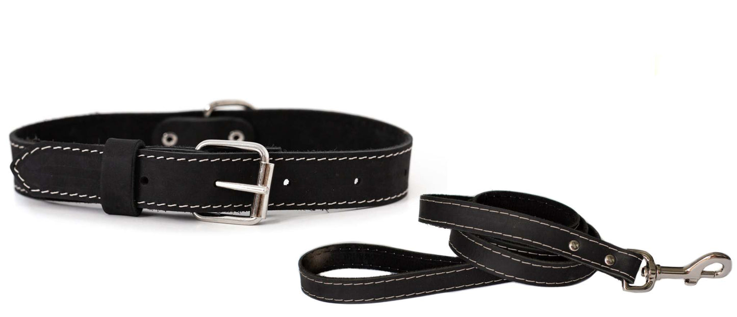 Pro Line Hunting Leather Collar and Leash Set with full-grain leather and European steel design