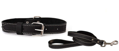 Pro Line Hunting Leather Collar and Leash Set with full-grain leather and European steel design