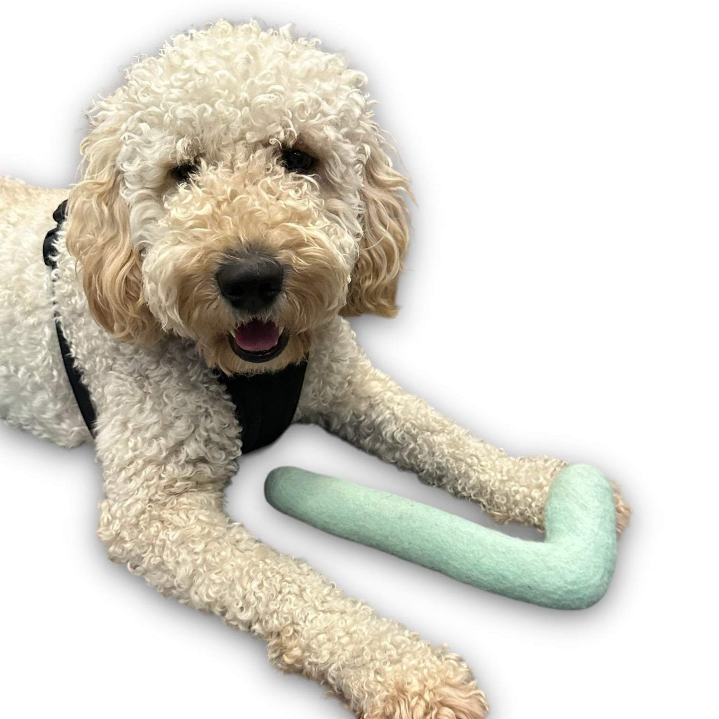 Handcrafted tube felt dog toy made from 100% wool, durable and safe for tug, chew, and fetch.