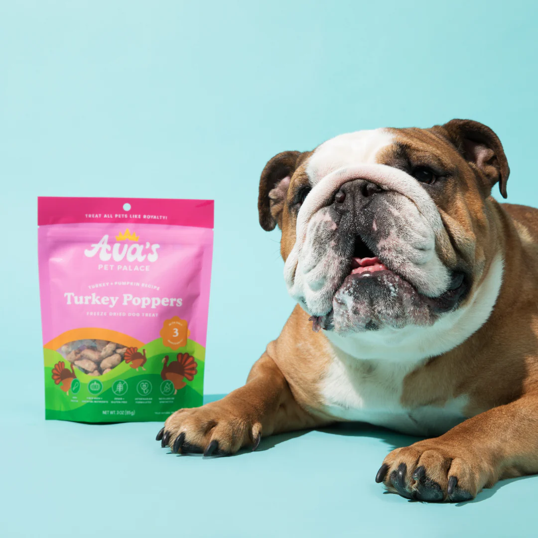 Ava's Pet Palace Turkey Poppers freeze dried dog treats with bulldog on blue background