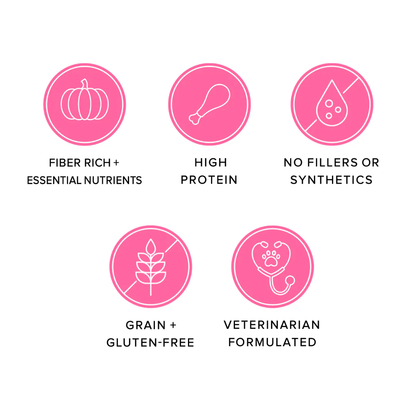 Ava's Pet Palace Freeze Dried Turkey Poppers dog treats with high protein, fiber-rich pumpkin, grain and gluten-free, veterinarian formulated, no fillers or synthetics.