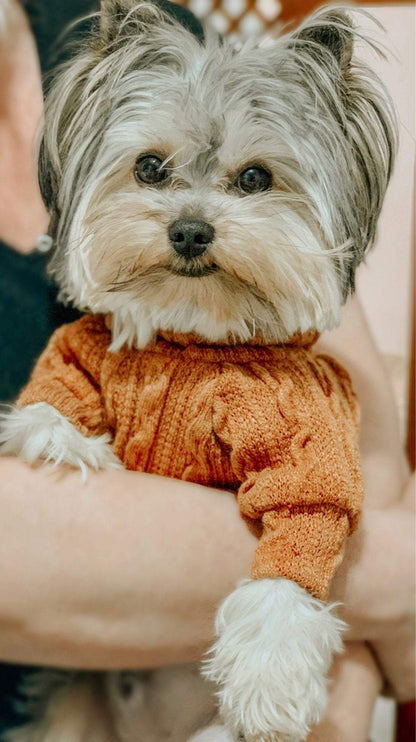 Winter Warm Knitted Turtleneck Sweater for Small Dogs and Cats - Cozy