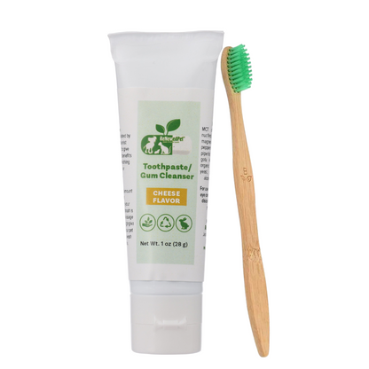 Natural pets toothpaste and gum cleanser tube with bamboo toothbrush for dental care