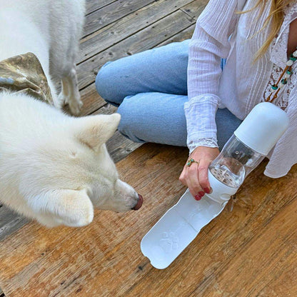 Travel Dog Water Bottle with Treat Holder – Leakproof & BPA-Free 350mL
