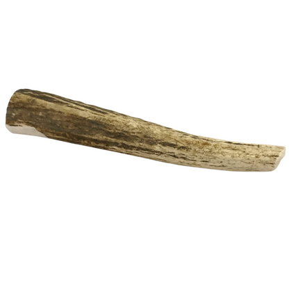 Large whole elk antler dog chew for aggressive chewers and heavy chewing dogs