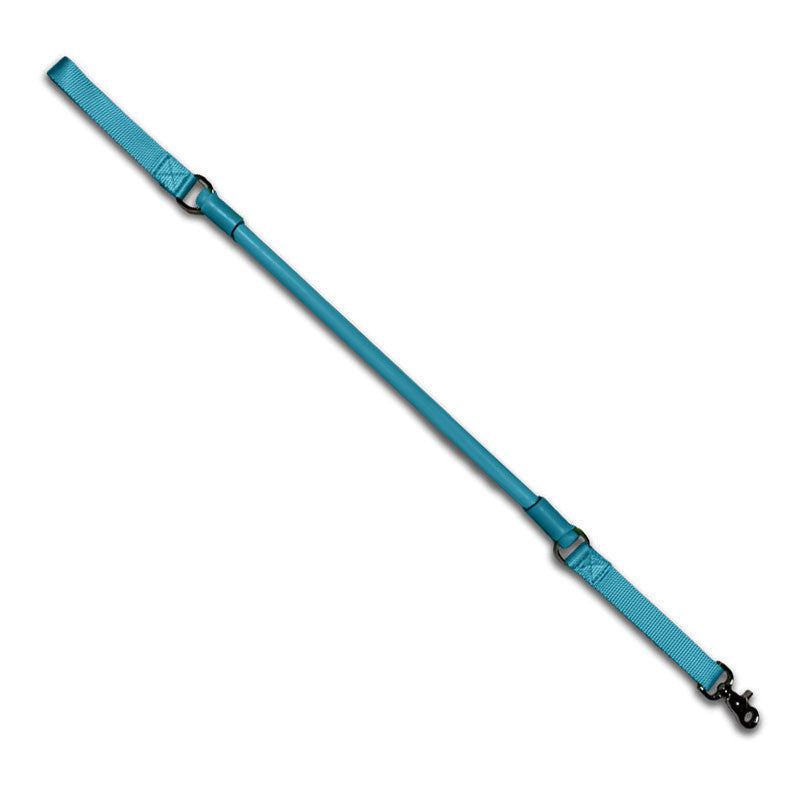Blue shorter no pull leash for strong pullers and city walking with traffic handle and chew-resistant natural rubber latex.