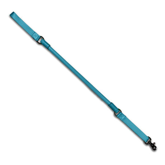 Blue shorter no pull leash for strong pullers and city walking with traffic handle and chew-resistant natural rubber latex.