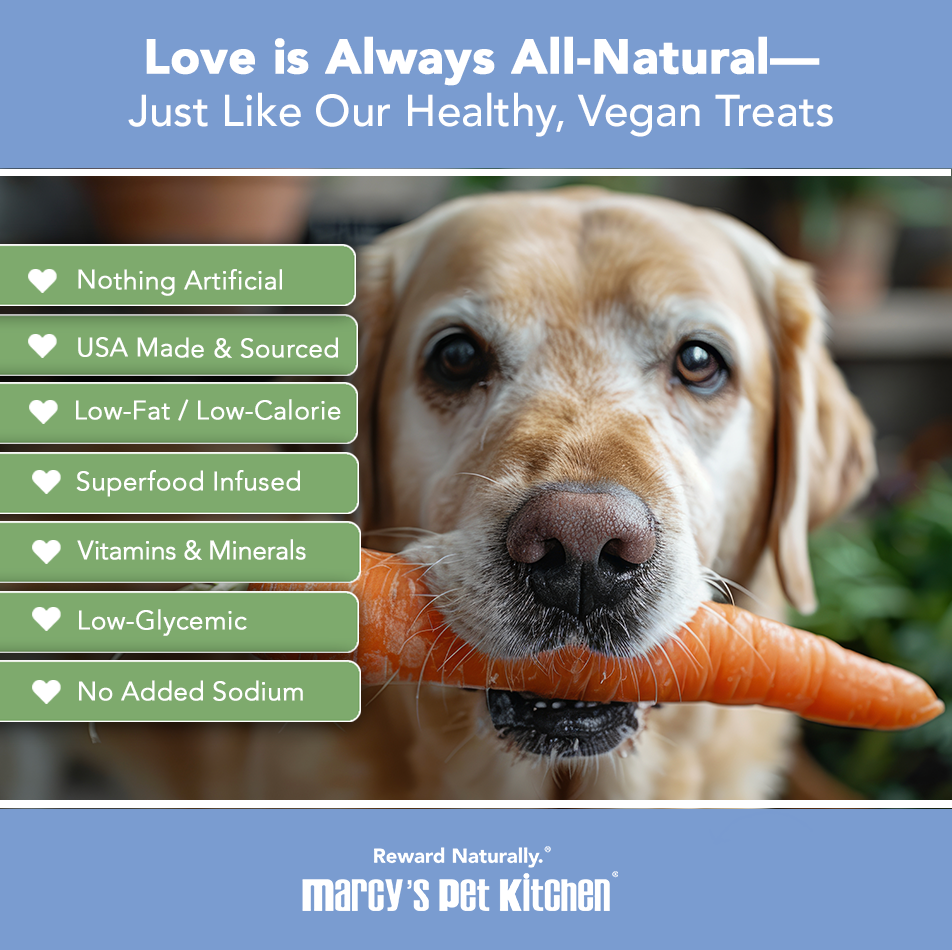 All-Natural Vegan Veggie Biscuit - Healthy Dog Treats - Sensitive Dogs