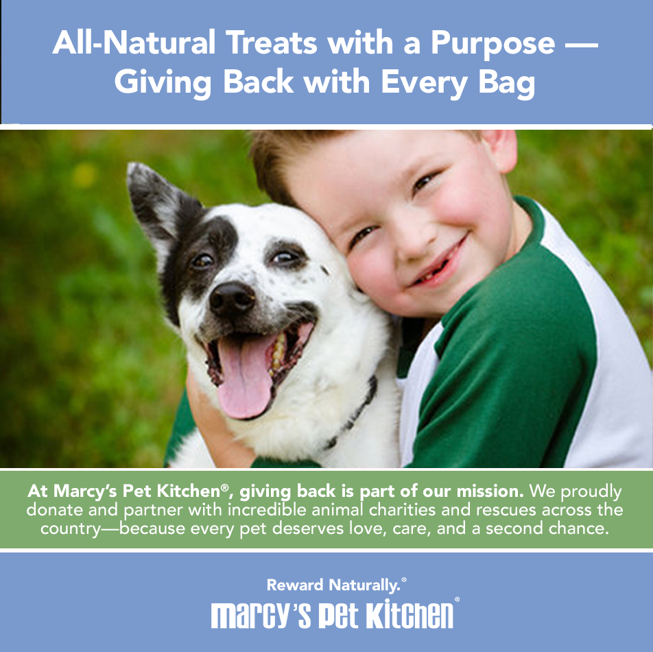 All-Natural Vegan Veggie Biscuit - Healthy Dog Treats - Sensitive Dogs