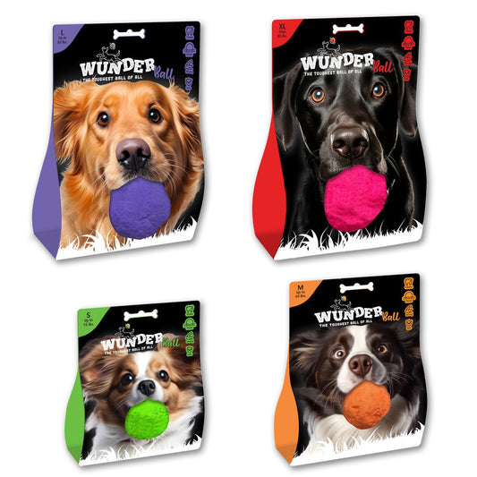 WUNDERball Best Fetch Toy in purple, pink, green, and orange packaging with dog images for durable, chew-proof dog fetch play