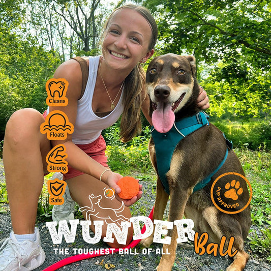 WUNDERball Best Fetch Toy - Durable, Safe & Unpredictable Dog Ball