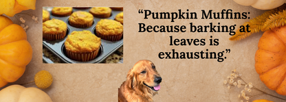 Organic pumpkin muffins for dogs with human-grade ingredients and gentle texture