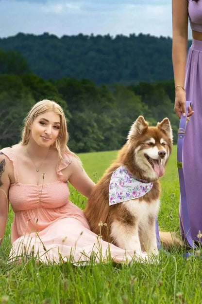 Woman sitting on grass with a dog wearing a colorful Wildflower Meadow Set bandana in a scenic outdoor meadow