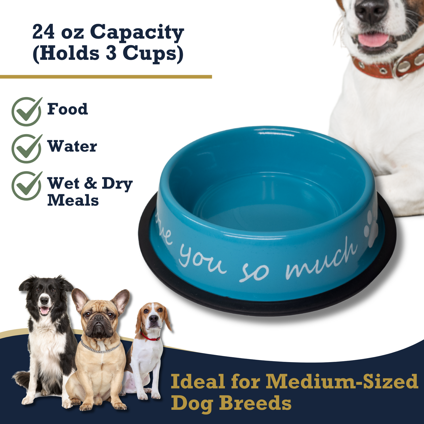 Powder-coated stainless steel dog bowl with "I Love You So Much" message, 24oz capacity, non-slip base, rust-resistant, ideal for medium-sized dogs