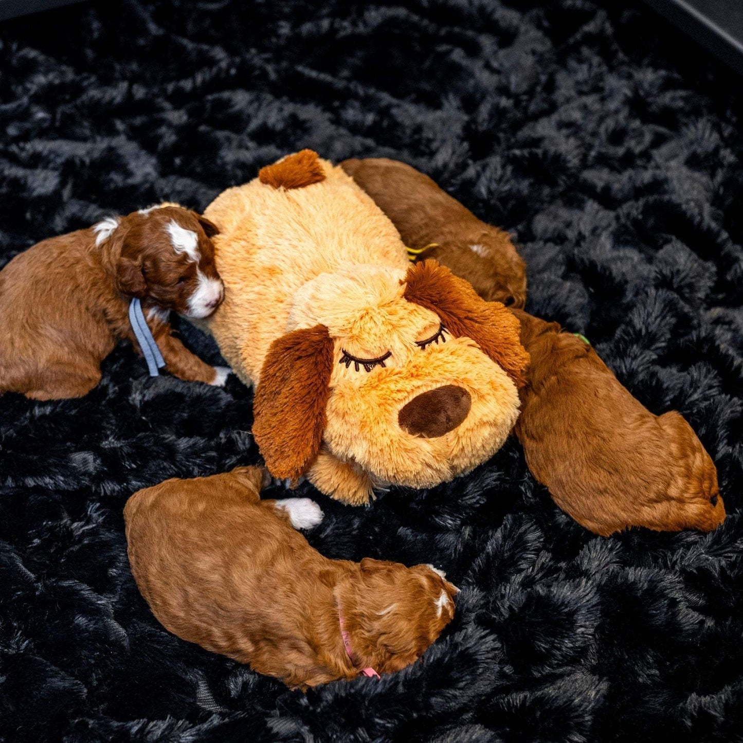 Anxiety Reducing Heartbeat Plush for Dogs - Calming & Comforting Toy