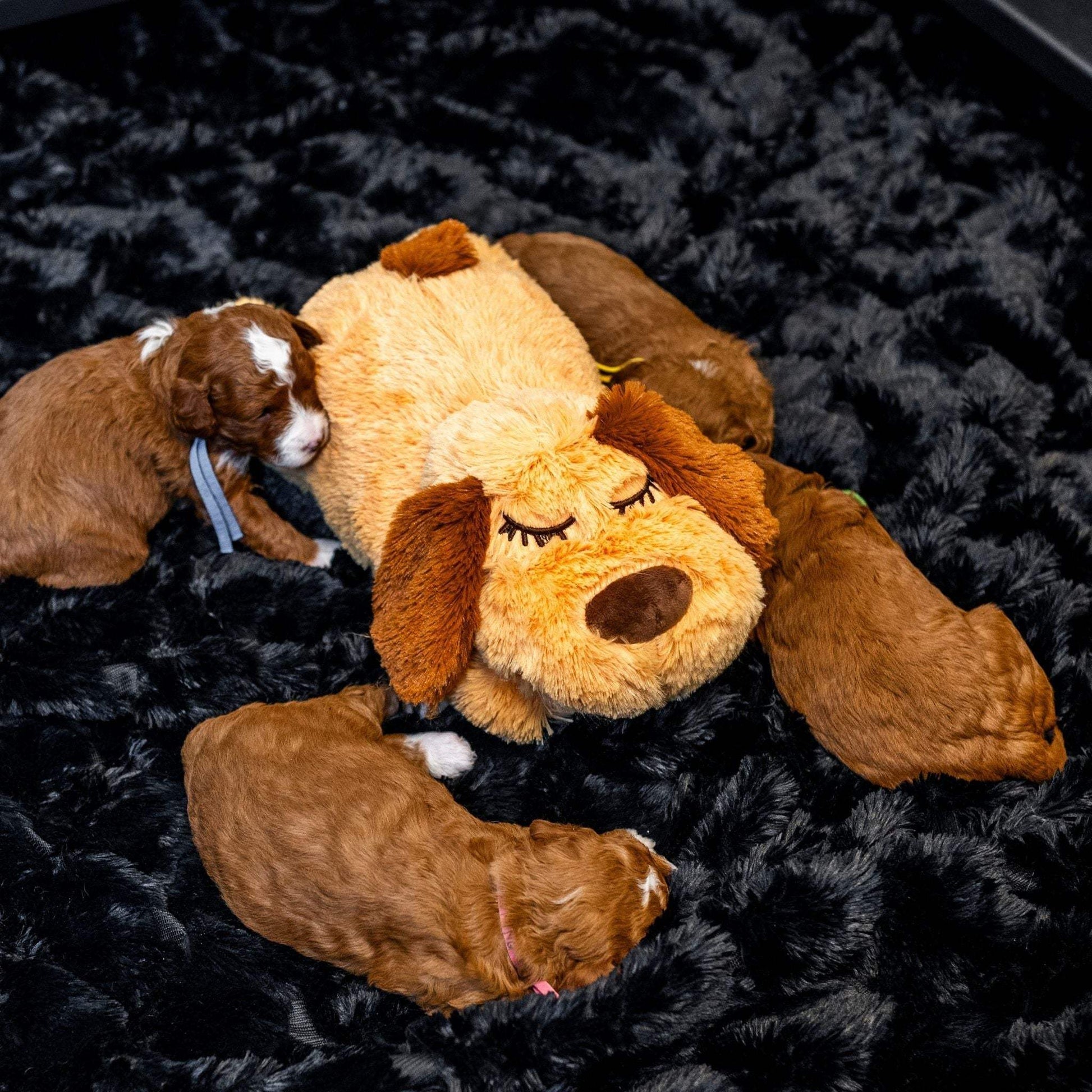 Anxiety Reducing Heartbeat Plush for Dogs - Calming & Comforting Toy
