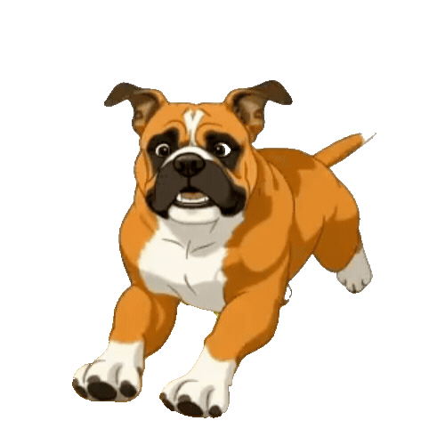 Animated Boxer Sticker Pack — 10 GIF Stickers | Instant Digital Download