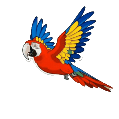 Animated Macaw Sticker Pack — 10 GIF Stickers | Instant Digital Download