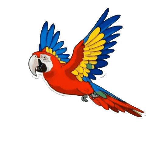 Animated Macaw Sticker Pack — 10 GIF Stickers | Instant Digital Download