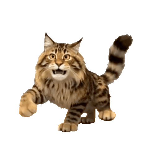 Animated Maine Coon Sticker Pack — 10 GIF Stickers | Instant Digital Download