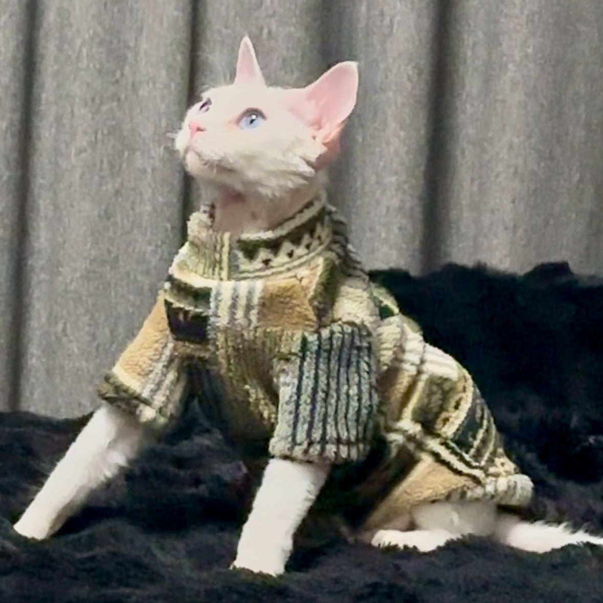 Thickened Fleece-lined Fur-free Cat Clothing For Warmth