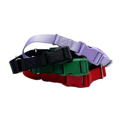 Three Come Here Buddy martingale dog collars in black, green, and red with fast-release buckles and adjustable nylon straps.