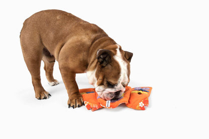 Aloha Nose Work Dog Toy plush for dog sniffing play