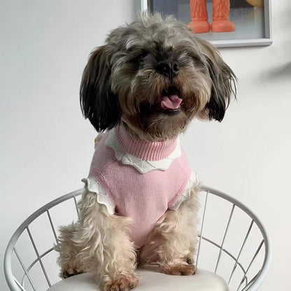 Autumn And Winter Warm And Comfortable Dog Sweater Clothes Pet Cat Clothing Flower Blossom Sweater Collection