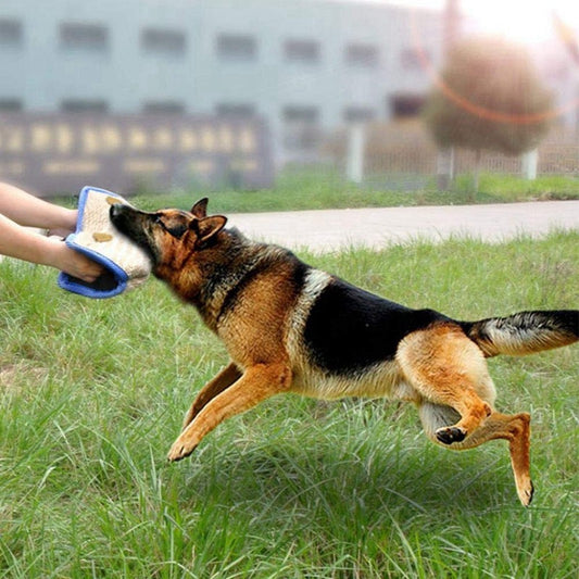 Dog Training Bite Pillow