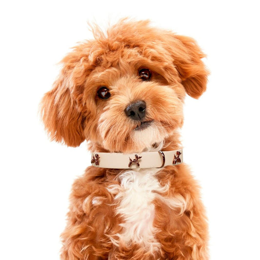 Beige SandDog premium adjustable dog collar with comfortable fit