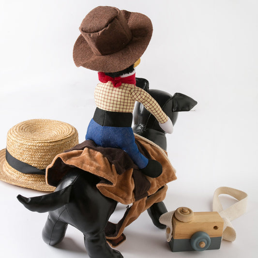 Funny Denim Riding Dog Costume