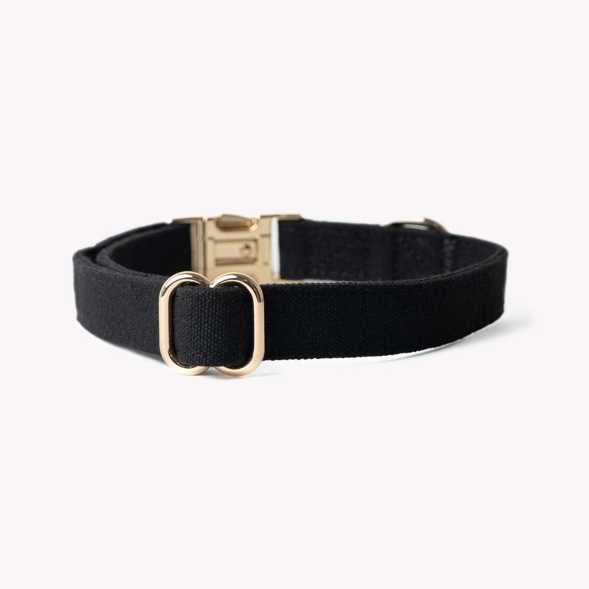 black canvas dog collar with gold hardware