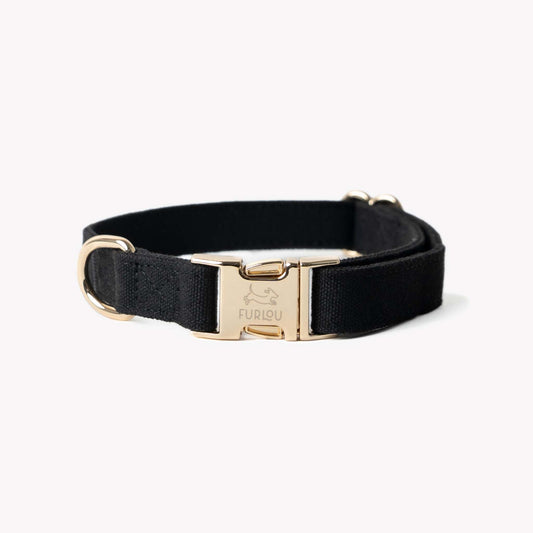 black canvas dog collar with gold hardware