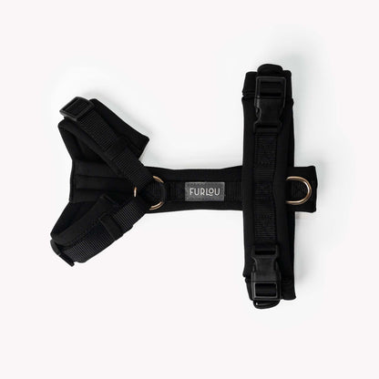 Black padded adjustable comfort dog harness with gold hardware