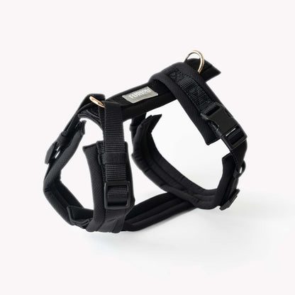 Black comfort dog harness with gold hardware and adjustable straps
