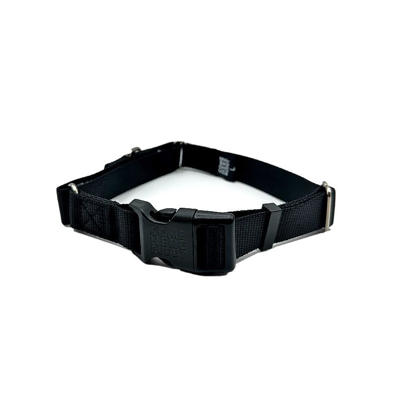 Martingale Dog Collar – Gentle, Safe and Stylish Dog Training Collar