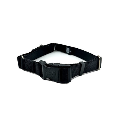 Martingale Dog Collar – Gentle, Safe and Stylish Dog Training Collar