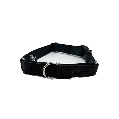Martingale Dog Collar – Gentle, Safe and Stylish Dog Training Collar