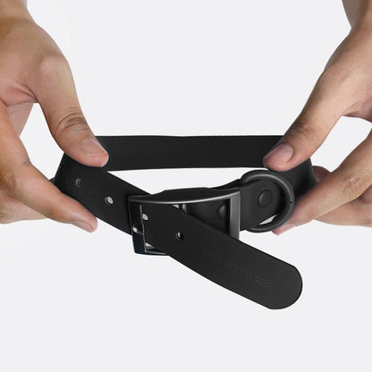 Everyday Collar - Durable, Comfortable Pet Collar for All Weather Use