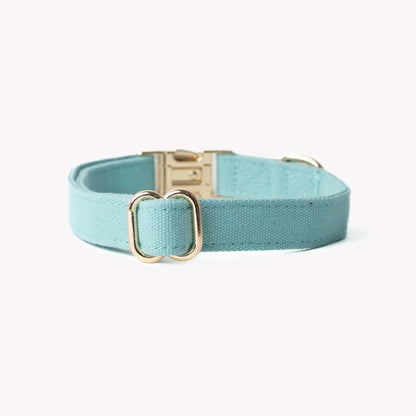 blue canvas dog collar with gold hardware
