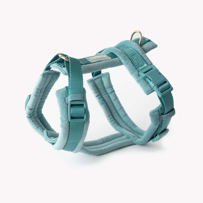 FURLOU blue velvet dog harness with gold hardware