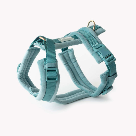 FURLOU blue velvet dog harness with gold hardware