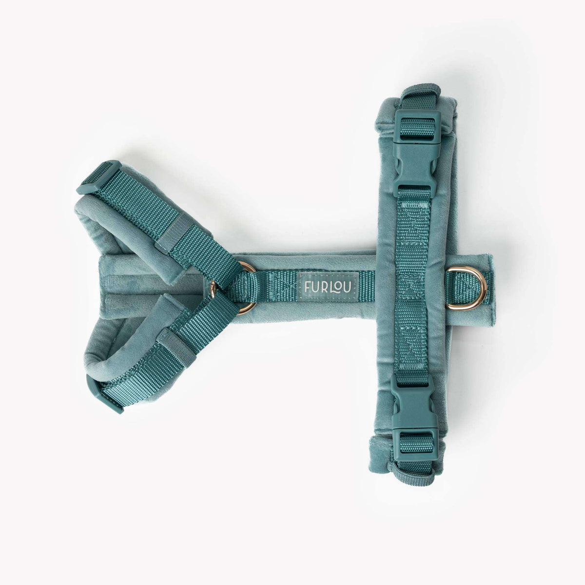 Blue velvet dog harness with gold hardware and padded lining