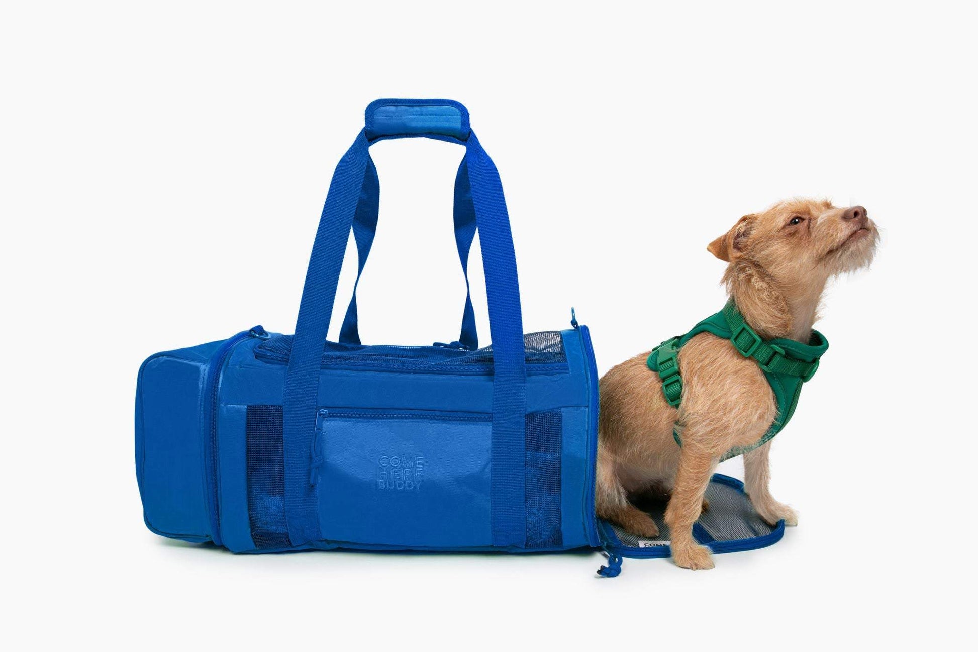 Travel Buddy - Pet Carrier: Airline-Approved Carrier Spacious Design