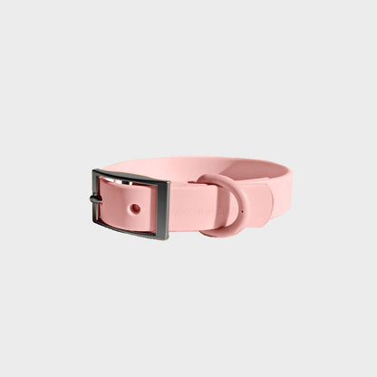 Everyday Collar - Durable, Comfortable Pet Collar for All Weather Use