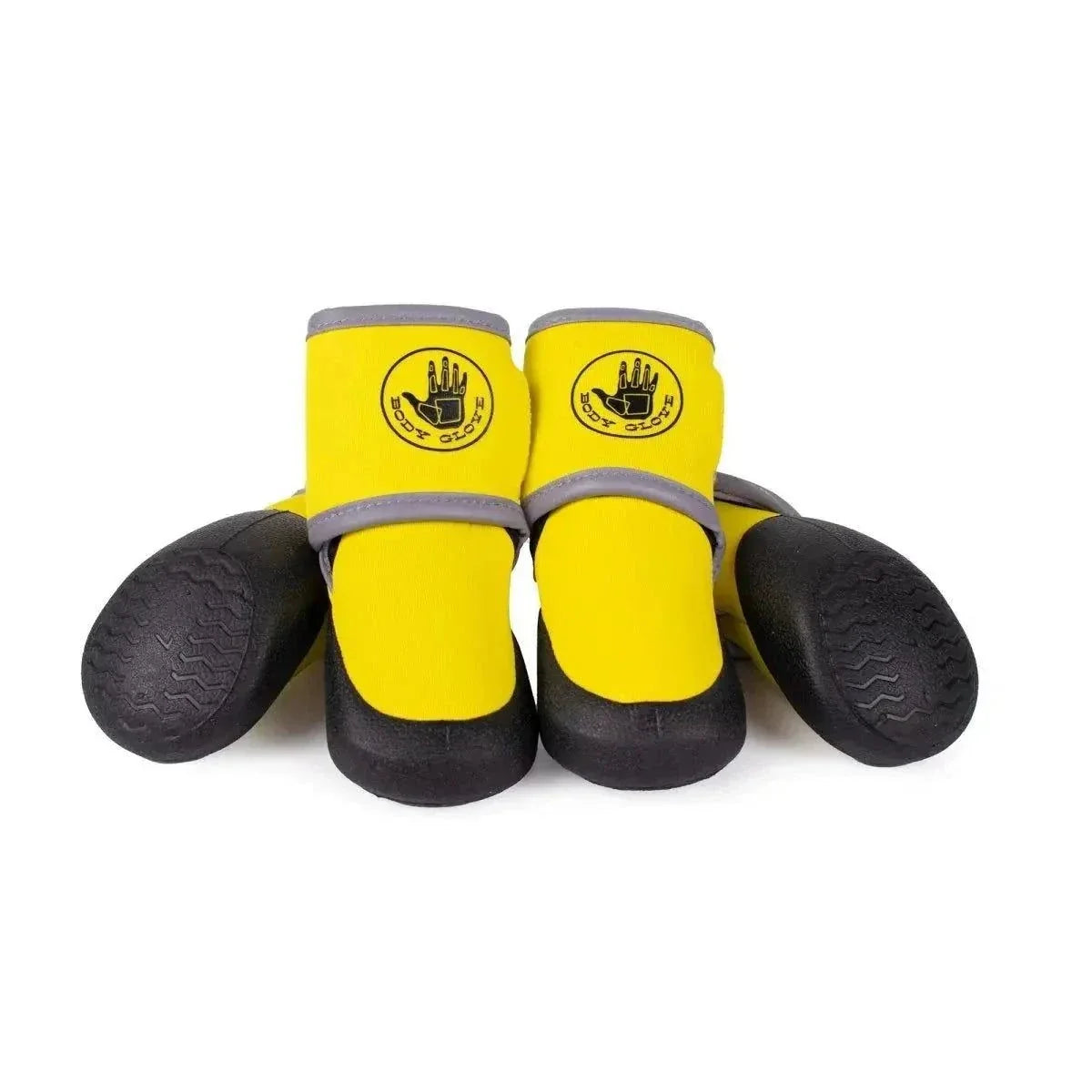 Body Glove dog booties on a dog's paws for outdoor protection