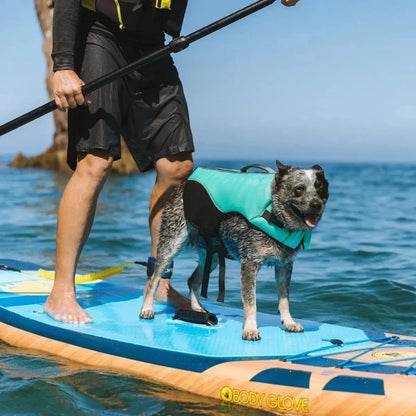 Body Glove Neoprene Pet Life Jacket in teal and black with reflective trim and grab handle