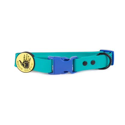 Body Glove waterproof Biothane adjustable dog collar in teal with blue buckle and logo slider